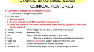 CLINICAL FEATURES
1. Lacrimation, photophobia and blepharospasm
– Classic triad of congenital glaucoma
2. Corneal signs
I. Corneal edema
II. Corneal enlargement [>13mm confirms enlargement]
III. Tears and breaks in Descemet’s membranes (Haab’s striae) [appears as lines with
double contour]
3. Sclera : Thin and appears blue due to underlying uveal tissue.
4. Anterior chamber : Becomes deep
5. Iris : Iridodonesis and atrophic patches in late stage.
6. Lens : Flat due to stretching of zonules and subluxate backward.
7. Optic disc : Variable cupping and atrophy especially after third year.
8. IOP : Raised which is neither marked nor acute.
9. Axial myopia : Increase in axial length leading to anisometropic amblyopia.
A. CONGENITAL AND DEVELOPMENTAL GLAUCOMA
 