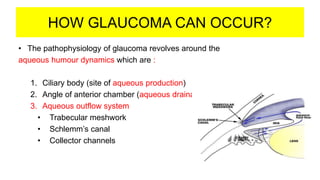 HOW GLAUCOMA CAN OCCUR?
• The pathophysiology of glaucoma revolves around the
aqueous humour dynamics which are :
1. Ciliary body (site of aqueous production)
2. Angle of anterior chamber (aqueous drainage)
3. Aqueous outflow system
• Trabecular meshwork
• Schlemm’s canal
• Collector channels
 