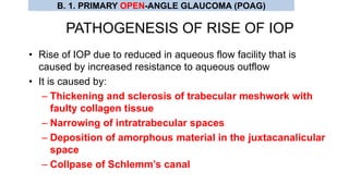 PATHOGENESIS OF RISE OF IOP
• Rise of IOP due to reduced in aqueous flow facility that is
caused by increased resistance to aqueous outflow
• It is caused by:
– Thickening and sclerosis of trabecular meshwork with
faulty collagen tissue
– Narrowing of intratrabecular spaces
– Deposition of amorphous material in the juxtacanalicular
space
– Collpase of Schlemm’s canal
B. 1. PRIMARY OPEN-ANGLE GLAUCOMA (POAG)
 