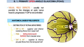 • VISUAL FIELD DEFECTS - usually run
parallel to the changes at optic nerve
head & progressesif IOPisnotcontrolled
• SRF & IRF - superior and inferior
radiating fibres from nasal half
• PMB - PAPILLOMACULAR
BUNDLEfrom macular area
• SAF & IAF - superior & inferior
arcuate fibres from thetemporal half
ANATOMICALBASISOFFIELDDEFECTS
• DISTRIBUTIONOFRETINALNERVEFIBRES
B. 1. PRIMARY OPEN-ANGLE GLAUCOMA (POAG)
 