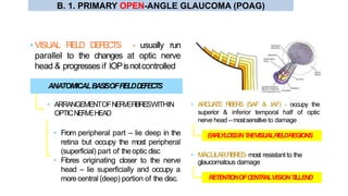 • VISUAL FIELD DEFECTS - usually run
parallel to the changes at optic nerve
head & progressesif IOPisnotcontrolled
• From peripheral part – lie deep in the
retina but occupy the most peripheral
(superficial) part of theoptic disc
• Fibres originating closer to the nerve
head – lie superficially and occupy a
morecentral (deep) portion of the disc.
EARLYLOSSINTHEVISUALFIELDREGIONS
RETENTIONOFCENTRALVISIONTILLEND
ANATOMICALBASISOFFIELDDEFECTS
• ARRANGEMENTOFNERVEFIBRESWITHIN
OPTICNERVEHEAD
• ARCUATE FIBERS (SAF & IAF) - occupy the
superior & inferior temporal half of optic
nerve head – mostsensitiveto damage
• MACULARFIBRES-most resistantto the
glaucomatous damage
B. 1. PRIMARY OPEN-ANGLE GLAUCOMA (POAG)
 