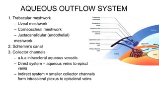 AQUEOUS OUTFLOW SYSTEM
1. Trabecular meshwork
– Uveal meshwork
– Corneoscleral meshwork
– Juxtacanalicular (endothelial)
meshwork
2. Schlemm’s canal
3. Collector channels
– a.k.a intrascleral aqueous vessels
– Direct system = aqueous veins to episcleral
veins
– Indirect system = smaller collector channels
form intrascleral plexus to episcleral veins
 