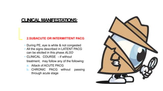 CLINICAL MANIFESTATIONS:
2.SUBACUTE OR INTERMITTENT PACG
• During PE, eye is white & not congested
• All the signs described in LATENT PACG
can be elicited in this phase ALSO
• CLINICAL COURSE - if without
treatment, may follow any of the following:
a. Attack of ACUTE PACG
b. CHRONIC PACG without passing
through acute stage
 