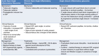 NON SPECIFIC INFLAMMATORY GLAUCOMAAcute Open Angle
Inflammatory Glaucoma
Chronic Open Angle Inflammatory
Glaucoma
Angle closure inflammatory glaucoma
Mechanism r
• Trabecular clogging
• Trabecular oedema
• Prostaglandin induced rise
in IOP
Mechanism
• Chronic trabeculitis and trabecular scarring
Mechanism
• 2’ angle closure with pupil block (due to annular
synechiae or acclusio pupillae – iris bombe)
• 2’ angle closure without pupil block (organization of
inflammatory debris in the angle causing pulling of
iris over the trabeculum during contraction – gradual
& progressive synechiae angle closure + increased
IOP)
Clinical features
• Features of acute
iridocylitis + increased IOP
+ open angle of ant.
chamber
• Returns to normal after
acute episode of
inflammation
Clinical features
• Raised IOP, open angle, no active
inflammation
• Signs of prev episode of uveitis present
• Glaucomatous disc changes & field defects
Clinical features
• Raised IOP, seclusion papillae, iris bombe, shallow
ant. Chamber
Management
• Treat iridocylitis
• Medical therapy to lower
IOP (hyperosmotic agents,
acetazolamide, BB)
Treatments
• Medical therapy – topical BB , CAI & alpha
agonist (avoid pilocarpine & PGs)
• Trabeculectomy
• Cyclodestructive procedure (cycloiodide)
Management
• Prophylaxis (treat acute iridocylitis – local steroids &
atropine)
• Curative – medical therapy to reduced IOP, surgical
or laser iridotomy in pupil block without angle
closure and filtration surgery in presence of angle
closure
 