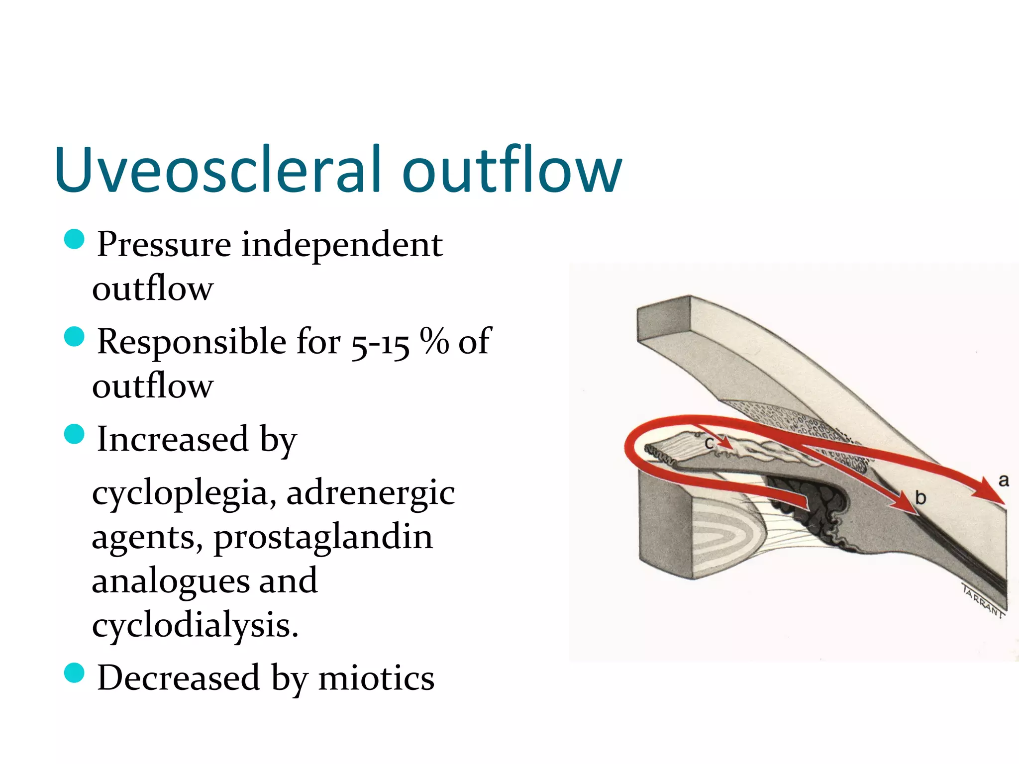 Uveoscleral outflow
Pressure independent
outflow
Responsible for 5-15 % of
outflow
Increased by
cycloplegia, adrenergic
agents, prostaglandin
analogues and
cyclodialysis.
Decreased by miotics
 
