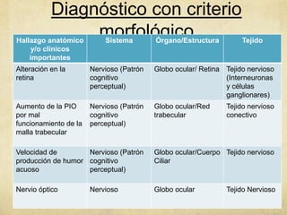 Diagnóstico con criterio
                morfológico
Hallazgo anatómico         Sistema        Órgano/Estructura         Tejido
     y/o clínicos
    importantes
Alteración en la       Nervioso (Patrón   Globo ocular/ Retina Tejido nervioso
retina                 cognitivo                               (Interneuronas
                       perceptual)                             y células
                                                               ganglionares)
Aumento de la PIO      Nervioso (Patrón   Globo ocular/Red     Tejido nervioso
por mal                cognitivo          trabecular           conectivo
funcionamiento de la   perceptual)
malla trabecular

Velocidad de        Nervioso (Patrón      Globo ocular/Cuerpo Tejido nervioso
producción de humor cognitivo             Ciliar
acuoso              perceptual)

Nervio óptico          Nervioso           Globo ocular         Tejido Nervioso
 