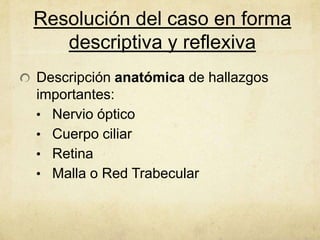 Resolución del caso en forma
   descriptiva y reflexiva
Descripción anatómica de hallazgos
importantes:
• Nervio óptico
• Cuerpo ciliar
• Retina
• Malla o Red Trabecular
 