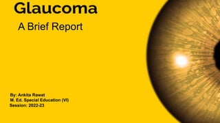 Glaucoma: a brief review
A Brief Report
By: Ankita Rawat
M. Ed. Special Education (VI)
Session: 2022-23
 
