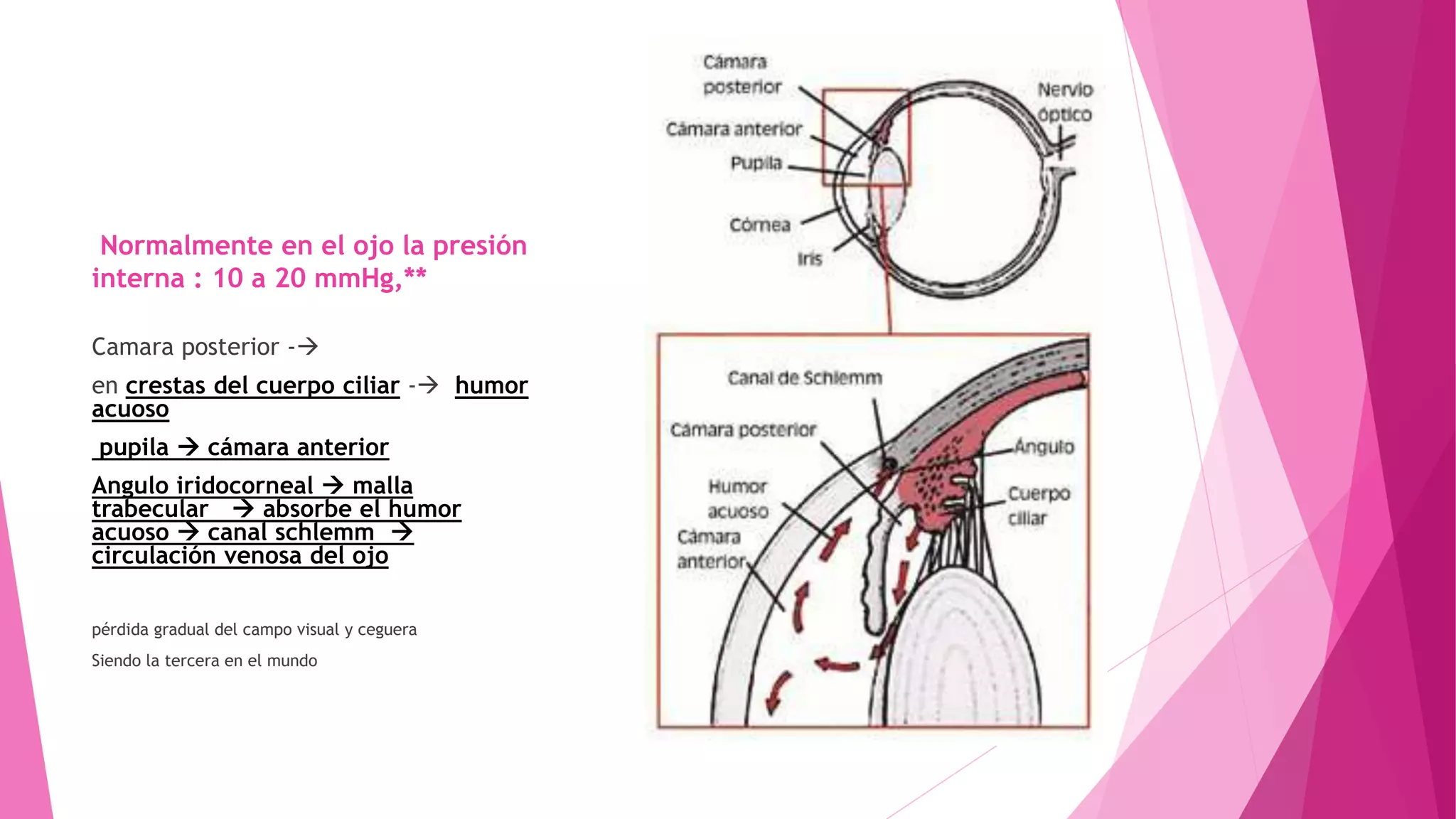 Glaucoma angulo cerrado y abierto | PPT