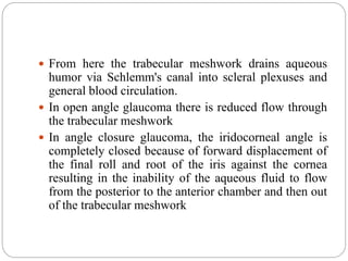  From here the trabecular meshwork drains aqueous
humor via Schlemm's canal into scleral plexuses and
general blood circulation.
 In open angle glaucoma there is reduced flow through
the trabecular meshwork
 In angle closure glaucoma, the iridocorneal angle is
completely closed because of forward displacement of
the final roll and root of the iris against the cornea
resulting in the inability of the aqueous fluid to flow
from the posterior to the anterior chamber and then out
of the trabecular meshwork
 