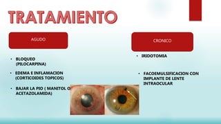 AGUDO
• BLOQUEO
(PILOCARPINA)
• EDEMA E INFLAMACION
(CORTICOIDES TOPICOS)
• BAJAR LA PIO ( MANITOL O
ACETAZOLAMIDA)
CRONICO
• IRIDOTOMIA
• FACOEMULSIFICACION CON
IMPLANTE DE LENTE
INTRAOCULAR
 