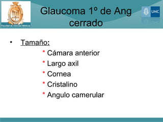 Glaucoma 1º de Ang
               cerrado
•   Tamaño:
         * Cámara anterior
         * Largo axil
         * Cornea
         * Cristalino
         * Angulo camerular
 