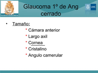 Glaucoma 1º de Ang
               cerrado
•   Tamaño:
         * Cámara anterior
         * Largo axil
         * Cornea
         * Cristalino
         * Angulo camerular
 