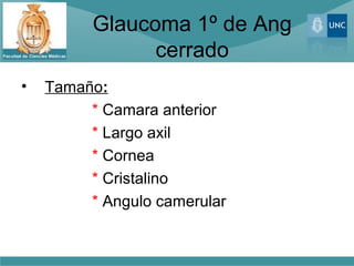 Glaucoma 1º de Ang
                cerrado
•   Tamaño:
         * Camara anterior
         * Largo axil
         * Cornea
         * Cristalino
         * Angulo camerular
 