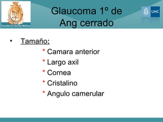 Glaucoma 1º de
             Ang cerrado
•   Tamaño:
         * Camara anterior
         * Largo axil
         * Cornea
         * Cristalino
         * Angulo camerular
 