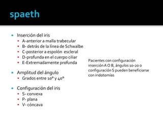    Inserción del iris
       A-anterior a malla trabecular
       B- detrás de la línea de Schwalbe
       C-posterior a espolón escleral
       D-profunda en el cuerpo ciliar
                                            Pacientes con configuración
       E-Extremadamente profunda
                                            inserción A O B, ángulos 10-20 o
                                            configuración S pueden beneficiarse
   Amplitud del ángulo                     con iridotomías
     Grados entre 10° y 40°

   Configuración del iris
     S- convexa
     P- plana
     V- cóncava
 