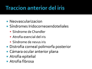    Neovascularizacion
   Síndromes Iridocorneoendoteliales
     Síndrome de Chandler
     Atrofia esencial del iris
     Síndrome de nevus iris
   Distrofia corneal polimorfa posterior
   Cámara ocular anterior plana
   Atrofia epitelial
   Atrofia fibrosa
 