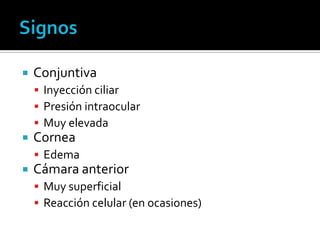    Conjuntiva
     Inyección ciliar
     Presión intraocular
     Muy elevada
   Cornea
     Edema
   Cámara anterior
     Muy superficial
     Reacción celular (en ocasiones)
 