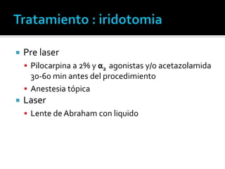    Pre laser
     Pilocarpina a 2% y α2 agonistas y/o acetazolamida
      30-60 min antes del procedimiento
     Anestesia tópica
   Laser
     Lente de Abraham con liquido
 