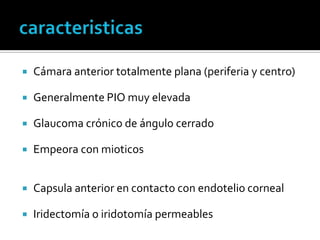    Cámara anterior totalmente plana (periferia y centro)

   Generalmente PIO muy elevada

   Glaucoma crónico de ángulo cerrado

   Empeora con mioticos


   Capsula anterior en contacto con endotelio corneal

   Iridectomía o iridotomía permeables
 