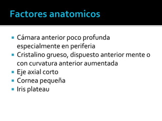    Cámara anterior poco profunda
    especialmente en periferia
   Cristalino grueso, dispuesto anterior mente o
    con curvatura anterior aumentada
   Eje axial corto
   Cornea pequeña
   Iris plateau
 