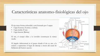 Glaucoma de ángulo cerrado | PPTX