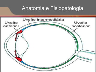 Anatomia e Fisiopatologia
 