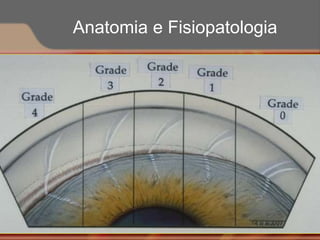 Anatomia e Fisiopatologia
 