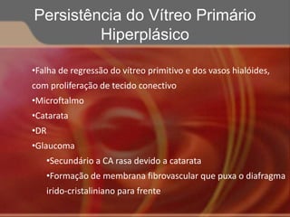 •Falha de regressão do vítreo primitivo e dos vasos hialóides,
com proliferação de tecido conectivo
•Microftalmo
•Catarata
•DR
•Glaucoma
•Secundário a CA rasa devido a catarata
•Formação de membrana fibrovascular que puxa o diafragma
irido-cristaliniano para frente
Persistência do Vítreo Primário
Hiperplásico
 