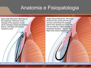 Anatomia e Fisiopatologia
 