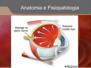Anatomia e Fisiopatologia
 