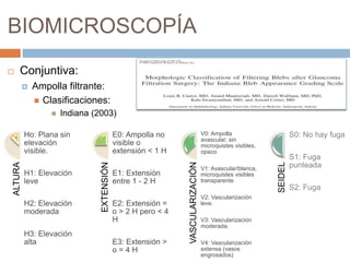 BIOMICROSCOPÍA
 Conjuntiva:
 Ampolla filtrante:
 Clasificaciones:
 Indiana (2003)
ALTURA
Ho: Plana sin
elevación
visible.
H1: Elevación
leve
H2: Elevación
moderada
H3: Elevación
alta
EXTENSIÓN
E0: Ampolla no
visible o
extensión < 1 H
E1: Extensión
entre 1 - 2 H
E2: Extensión =
o > 2 H pero < 4
H
E3: Extensión >
o = 4 H
VASCULARIZACIÓN
V0: Ampolla
avascular, sin
microquistes visibles,
opaco
V1: Avascular/blanca,
microquistes visibles
transparente
V2: Vascularización
leve.
V3: Vascularización
moderada.
V4: Vascularización
extensa (vasos
engrosados)
SEIDEL
S0: No hay fuga
S1: Fuga
punteada
S2: Fuga
 