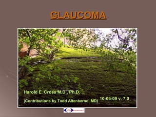 GLAUCOMA

Harold E. Cross M.D., Ph.D.
(Contributions by Todd Altenbernd, MD)

10-06-09 v. 7.0

 
