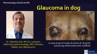 Glaucoma in dog
A case study of mode of action of drug for
practicing veterinarian and students
Dr. Jibachha Sah, M.V.Sc, Lecturer,
Veterinary pharmacology, NPI, Chitwan,
Nepal,+977-9845024121
Pharmacology clinical case file
 