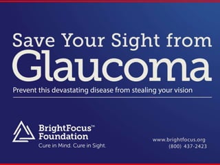 Save Your Sight From Glaucoma