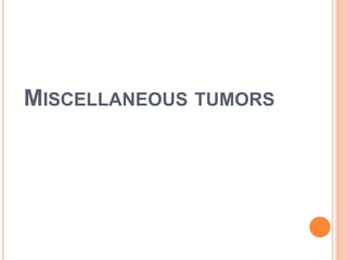 MISCELLANEOUS TUMORS
 