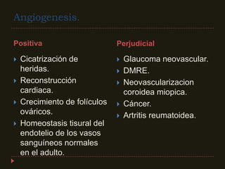 Angiogenesis.Positiva			PerjudicialCicatrización de heridas.Reconstrucción cardiaca.Crecimiento de folículos ováricos.Homeostasis tisural del endotelio de los vasos sanguíneos normales en el adulto.Glaucoma neovascular.DMRE.Neovascularizacion coroidea miopica.Cáncer.Artritis reumatoidea.