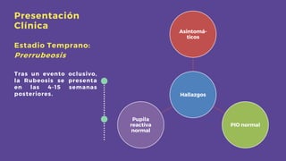Presentación
Clínica
Estadio Temprano:
Prerrubeosis
Tras un evento oclusivo,
la Rubeosis se presenta
en las 4-15 semanas
posteriores. Hallazgos
Asintomá-
ticos
PIO normal
Pupila
reactiva
normal
 