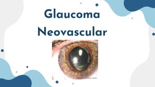 Glaucoma
Neovascular
 