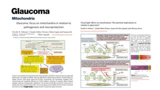 Glaucoma
Mitochondria
* Professor ofOcular Neurobiology, Nuffield Dept.Clinical Neurosciences, Oxford University
http://dx.doi.org/10.1016/j.mito.2016.11.009
Glaucoma is an age-related disease and
it is known that transmission of visible
light onto the retina is significantly
reduced in older lenses, especially for the
blue region of the spectrum.
Nevertheless, it is worth recognising that
people are now exposedtomore blue
light (310–450 nm) than ever before.
Such blue light is derived from the sun,
digital screens (from TVs, computers,
laptops, smart phones and tablets),
electronic devices, and from fluorescent
and LED lighting.
Petteri:Notethat 315-400nm is
defined as theUV-A range rather than
visible bluelight. Seee.g.
http://www.skincancer.org/prevention
/uva-and-uvb
Figure 2 summarises the hypothesis that retinal ganglion cell (RGC) mitochondria and glial cells
(astrocytes, microglial and Müller cells) are affected by altered blood delivery characteristics to
initiate primary open-angle glaucoma (POAG). Importantly, the hypothesis suggests RGC
mitochondria are negatively affected by POAG initiation, resulting in oxidative stress. Retinal
ganglion cells are consequently “weakened”, but remain functionally normal but more prone to
insults than they would be otherwise. Thus, once glaucoma is initiated, RGCs remain functional
but exist in amore fragilestate probably similar to advanced-aged neurones.
 