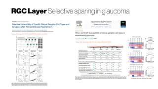 RGCLayer Selective sparing in glaucoma
http://dx.doi.org/10.1016/j.exer.2016.06.006
https://doi.org/10.1523/JNEUROSCI.0940-16.2016
 