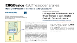 ERGBasics RGC/melanopsin analysis
MelanopsinRGCsabletomodulatea-andb-wavesaswell
http://dx.doi.org/10.1016/S0960-9822(02)00659-0
In the vertebrate retina, light detection by cone photoreceptors drives a
decrease in glutamate (G) release at the cone synapse in the outer
plexiform layer (OPL). This signal is processed by second-order
neurones, including bipolar cells (BC), before leaving the retina via the
optic tract (OT). The experiments outlined here suggest that this model
of the primary cone pathway be revised to include input from two light-
measuring pathways that modify the activity of the cone synapse
according to time of day. Both pathways respond to long-term light
exposure and act to increase the speed with which bipolar cells
respond tocone activation.
The most influential of them originates with a nonclassical
photopigment (n-PPT, i.e. melanopsin containing ipRGCs) that resides
somewhere in the retina and may act by modifying retinal
concentrations of melatonin (mel) and/or DA. The second pathway
involves undefined extraretinal mechanisms that may include a light-
induced interruption of the nocturnal drive of the pineal (Pin) by the
suprachiasmatic nuclei (SCN) and a consequent suppression of
plasma and retinal melatonin concentrations. The involvement of n-
PPT in this second pathway remains unknown. The relative
effectiveness of the retinal and central pathways is demonstrated by
the response ofthe nocturnalERG tocontralateral and ipsilateral light
exposure.
http://dx.doi.org/10.1167/iovs.16-20448
Acute and selective activation of ipRGCs
modulates the amplitude of both a- and b-waves
of the scotopic ERG, indicating that the influence
of this ganglion cell class on the retinal physiology
extends to the photoreceptors as well as their
downstream pathways.
 