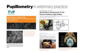 Pupillometry in veterinary practice
http://todaysveterinarypra
ctice.navc.com/observation
s-ophthalmologythe-practit
ioners-guide-neurologic-ca
uses-canine-anisocoria/
http://dx.doi.org/10.1167/iovs.13-12012
The pathway of the pupillary light reflex.
http://todaysveterinarypractice.navc.com/diagnosi
ng-acute-blindness-dogs/
 