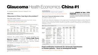 Glaucoma Health Economics China#1
Department of Epidemiology and International Eye Health, Institute
of Ophthalmology, University College London
http://dx.doi.org/10.1136/bjo.85.11.1277
However, the authors believe the visual morbidity from
glaucoma in China is considerable. Primary Angle Closure
Glaucoma (PACG) is probably the leading cause of
glaucoma blindness in both eyes, and warrants detailed
investigation of strategies for prevention.
http://dx.doi.org/10.1097/IJG.0b013e318064c818
The daily cost of glaucoma medications in China ranged much more wildly than developed countries. These data
may be useful in selecting medications for glaucoma therapy. The ophthalmic solution of prostaglandins is
powerful in reducing intraocular pressure. However, its high price should be considered when selecting glaucoma
medications in China.
“Nowadays, prostaglandins have become a first-line
therapeuticoption in developed countries because of
its effective intraocular pressure-lowering ability,
minimal risk ofsystemic side effects, and once-daily
administration.
https://doi.org/10.2147/DDDT.S80338
http://dx.doi.org/10.1097/IJG.0b013e31824083ca
 
