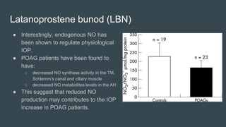 Latanoprostene bunod (LBN)
● Interestingly, endogenous NO has
been shown to regulate physiological
IOP.
● POAG patients have been found to
have:
○ decreased NO synthase activity in the TM,
Schlemm’s canal and ciliary muscle
○ decreased NO metabolites levels in the AH
● This suggest that reduced NO
production may contributes to the IOP
increase in POAG patients.
 