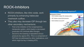 ROCK-Inhibitors
● ROCK-inhibitors, like nitric oxide, work
primarily by enhancing trabecular
meshwork outflow.
● They also may decrease IOP through two
other secondary mechanisms:
○ First is the inhibition of the norepinephrine
transporter system, which leads to decreased
production AH (minimal effect though).
○ Second is the lowering of episcleral venous
pressure (by approx 9%). This is a component of
IOP that not addressed by other medications, and
which might be key in treating NTG.
 