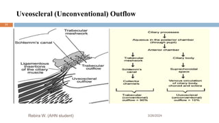 Uveoscleral (Unconventional) Outflow
3/26/2024
Rebira W. (AHN student)
11
 