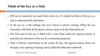 Think of the Eye as a Sink
3/26/2024
 IOP can be caused by too much fluid in the eye. It’s helpful to think of the eye as a
sink to understand this idea better.
 In the eye as a sink analogy, the eye’s faucet is always running, filling the eye
constantly with fluid, & the drain is always open to let that fluid drain out.
 The front part of the eye is filled with a clear fluid called the aqueous humor. It
nourishes the structures of the eye & is constantly produced.
 After it delivers nourishment to the cornea & lens, the aqueous humor flows out
through a tiny opening of spongy tissue called the trabecular meshwork.
Rebira W. (AHN student)
23
 