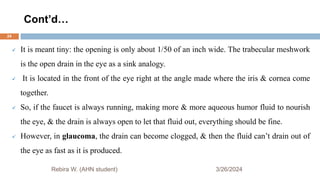 Cont’d…
3/26/2024
 It is meant tiny: the opening is only about 1/50 of an inch wide. The trabecular meshwork
is the open drain in the eye as a sink analogy.
 It is located in the front of the eye right at the angle made where the iris & cornea come
together.
 So, if the faucet is always running, making more & more aqueous humor fluid to nourish
the eye, & the drain is always open to let that fluid out, everything should be fine.
 However, in glaucoma, the drain can become clogged, & then the fluid can’t drain out of
the eye as fast as it is produced.
Rebira W. (AHN student)
24
 