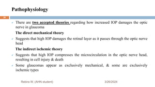 Pathophysiology
3/26/2024
 There are two accepted theories regarding how increased IOP damages the optic
nerve in glaucoma
The direct mechanical theory
 Suggests that high IOP damages the retinal layer as it passes through the optic nerve
head
The indirect ischemic theory
 Suggests that high IOP compresses the microcirculation in the optic nerve head,
resulting in cell injury & death
 Some glaucomas appear as exclusively mechanical, & some are exclusively
ischemic types
Rebira W. (AHN student)
28
 